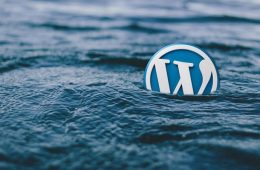 Dollyway Malware Breach: How to Safeguard Your WordPress Site